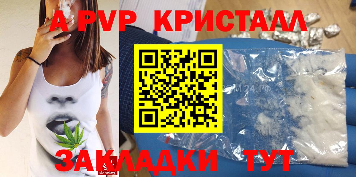 Артём  А ПВП Соль  A PVP  Вход с VPN  А ПВП крисы CK  Альфа ПВП крисы CK 