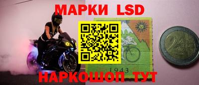 прущие грибы Вышний Волочёк