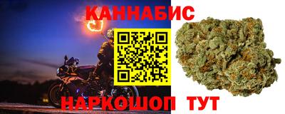 прущие грибы Вышний Волочёк