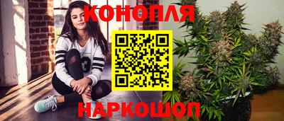 прущие грибы Вышний Волочёк