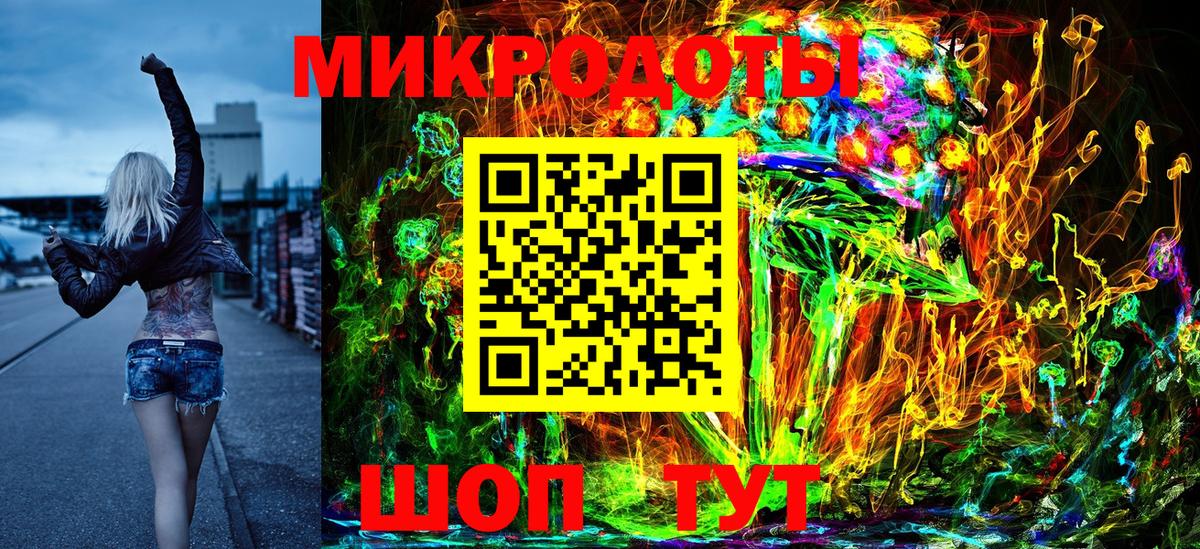 Галлюциногенные грибы Psilocybe Артём