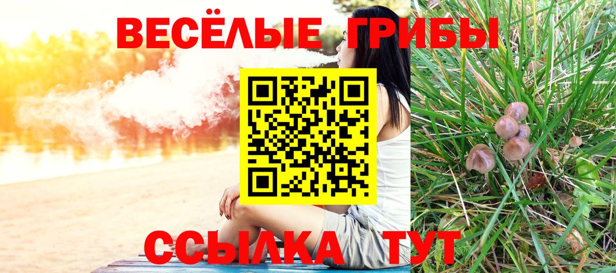 Артём  Псилоцибиновые грибы GOLDEN TEACHER  Вход с VPN 